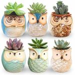 Owl Pots Little Ceramic Succulent Bonsai Pots With A Hole Pack Of 6