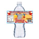 Circus Carnival Personalized Birthday Party Favors Water Bottle Labels Wrappers