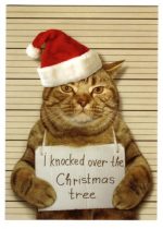 Humor Cat Police Line Up Christmas Greeting Card W Envelope Funny