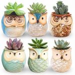Rose Create 6 Pcs 2 5 Inches Owl Pots Little Ceramic Succulent Bonsai Pots Wit