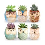 Rose Create 6 Pcs 2 5 Inches Owl Pots Little Ceramic Succulent Bonsai Pots W