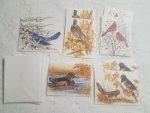 Lot Of 9 John Cornacchio Bird Blank Cards Envelopes Jay Duck Cardinal Towhee