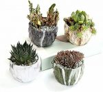Ceramic Flower Pot Succulent Cactus Planter Pots Container Bonsai Planters
